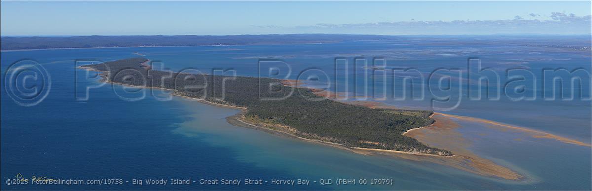 Peter Bellingham Photography Big Woody Island - Great Sandy Strait - Hervey Bay - QLD (PBH4 00 17979)